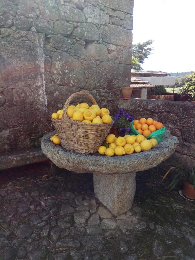 Penzion Casa Do Balcao Alcains Exteriér fotografie